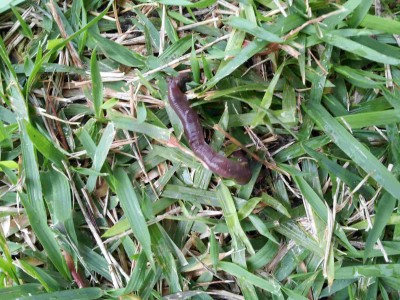 20121205_122852.jpg (251.41 KiB) נצפה 5607 פעמים 20121205_122852.jpg