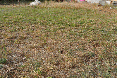 DSC_0088.gif