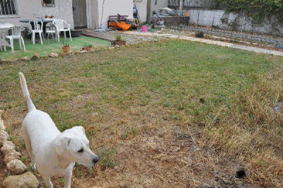 DSC_0096.gif