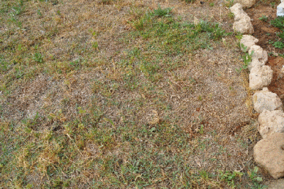 DSC_0095.gif
