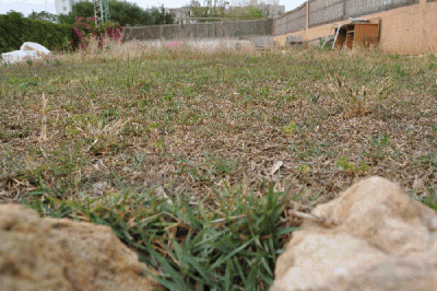 DSC_0101.gif