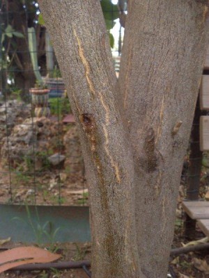 29032013048.jpg