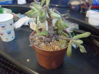 2013-04-04 23.26.26.jpg