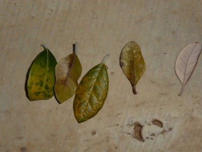 P1030045.JPG
