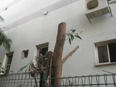 cc - Copy.JPG