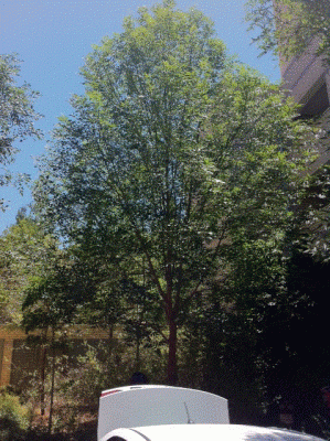 untitled.gif