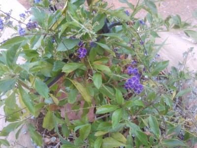 2013-06-27 07.21.12.jpg
