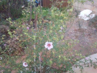 2013-06-27 07.20.36.jpg