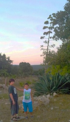 2013-06-22 20.01.52-1.jpg