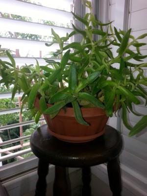 20130701_101012.jpg
