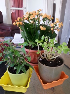 20130701_101110.jpg