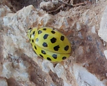 20130708_193300.jpg