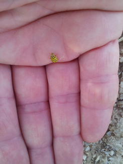 20130708_193336.jpg