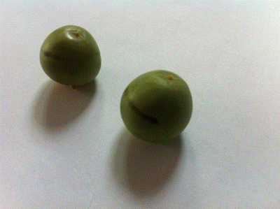 2.gif
