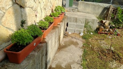WP_20130728_007.jpg