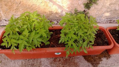 WP_20130728_005.jpg