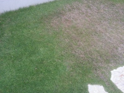 2013-07-28.jpg