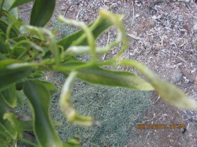 IMG_3686 מוקטן.jpg