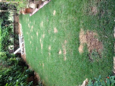 00.JPG (132.47 KiB) נצפה 14442 פעמים 00.JPG