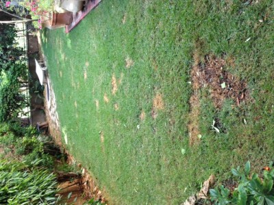 1.JPG (140.09 KiB) נצפה 14442 פעמים 1.JPG