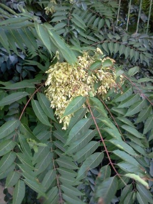 IMG051.jpg
