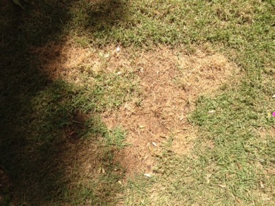 1.JPG (149.41 KiB) נצפה 14413 פעמים 1.JPG