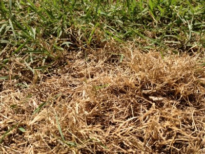 3.JPG (171.72 KiB) נצפה 14413 פעמים 3.JPG