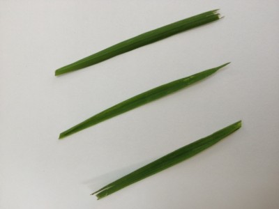 5.JPG