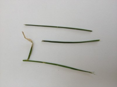 7.JPG