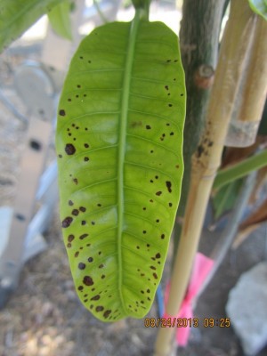 IMG_3698 מוקטן.jpg