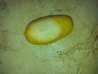 20130922_121639.jpg