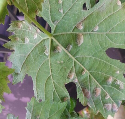 20130926_144745-1-1.jpg
