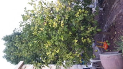 20131001_070905.jpg