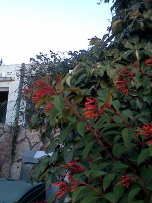 IMG120.jpg