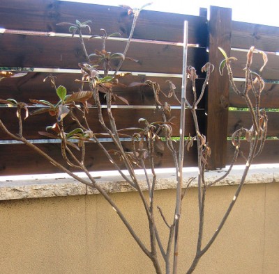 2013-10-15_111544.jpg