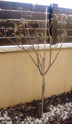 2013-10-15_110921.jpg