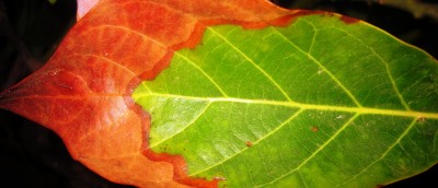 2013-10-17_220043.jpg