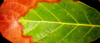 2013-10-17_220200.jpg