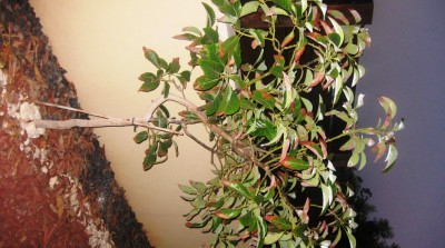 2013-10-17_220355.jpg