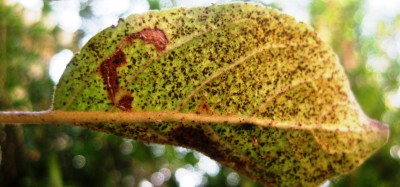 2013-10-17_220955.jpg
