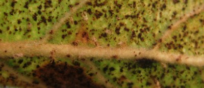 2013-10-17_221136.jpg