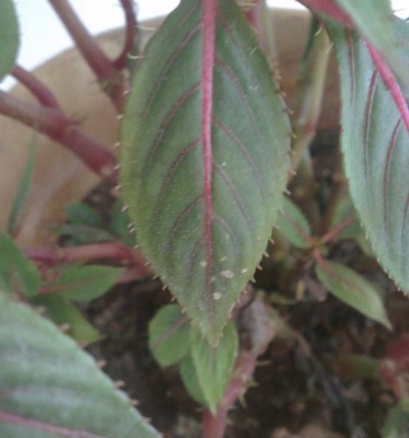 2013-10-21 16.50.20.jpg