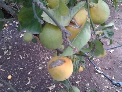2013-10-20 07.39.33.jpg
