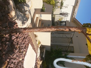 PA253195.JPG