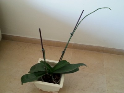 20131112_102552.jpg