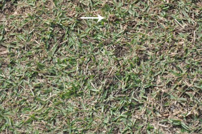 DSC_0081s.jpg