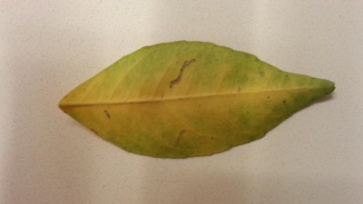 20131126_060925.jpg