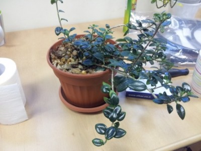 un_20131225_070858.jpg