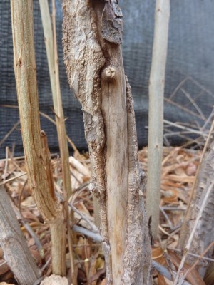 P1020127small.jpg