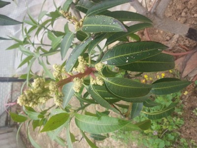20140317_084637S.jpg